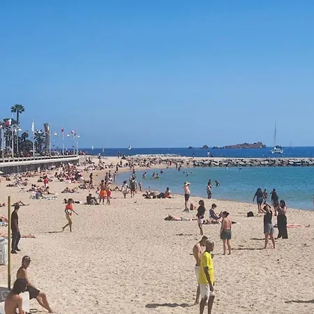 Che Michel Yourehosthelper *